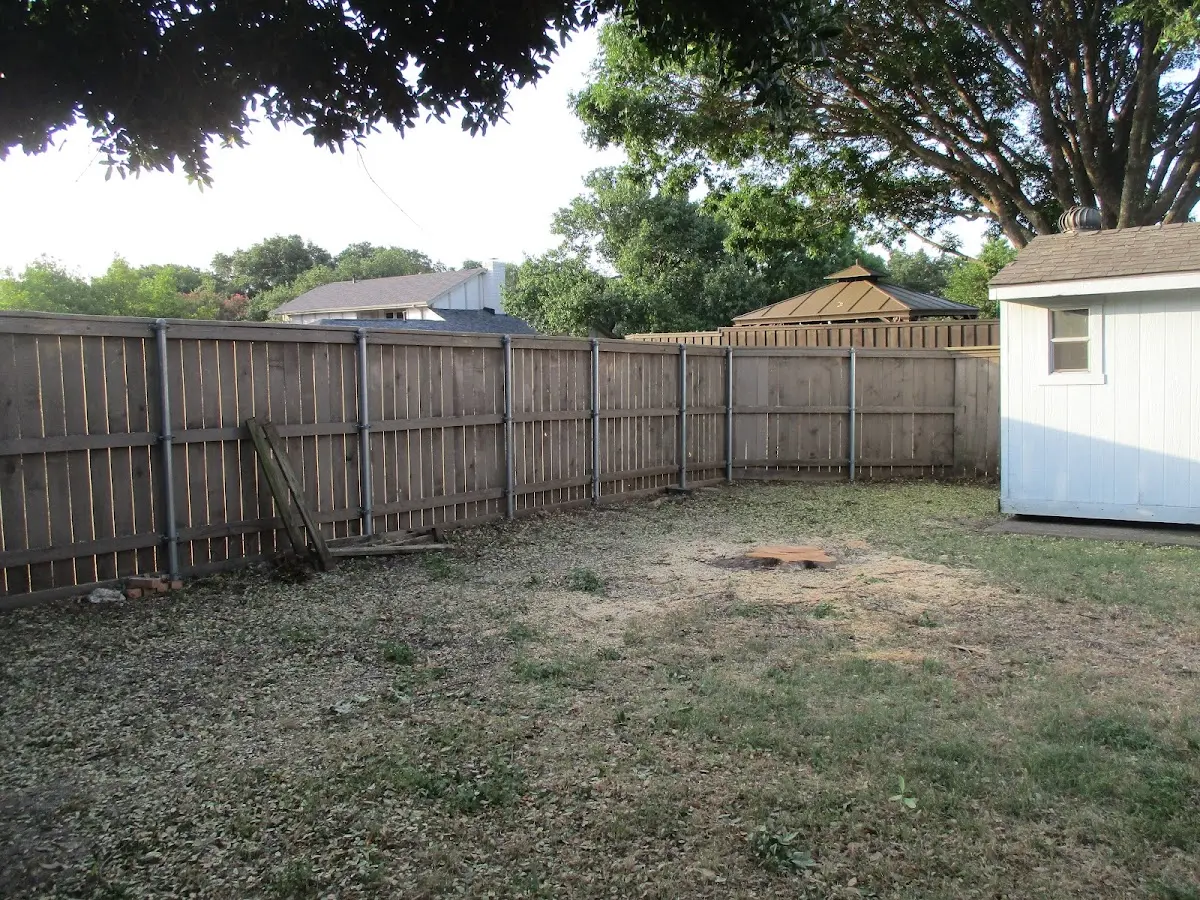 Cleared yard after professional tree removal in Rapid City